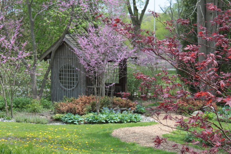 Fabyan Forest Preserve 1 - Renato Jocson